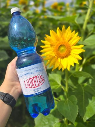 Nejlehčí voda v Evropě Lauretana pochází z alpského pramene v italském Piemontu a je známá svou mimořádnou čistotou a...